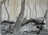 Wald V, 2008, 70cm x 50cm, Kohle, Kreide, Papier