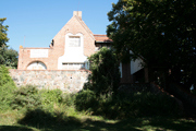 Fenster, 2008, Glas, Pflanzen, Lietzenburg, Hiddensee