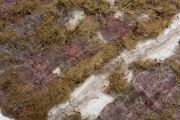 Gras-Textil, 2014, Jacquard-Doppelgewebe, Gras, Leinen, Polyamid, Edelstahl