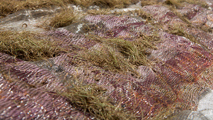 Gras-Textil, 2014, Jacquard-Doppelgewebe, Gras, Leinen, Polyamid, Edelstahl