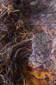 Gras-Textil, 2014, Jacquard-Doppelgewebe, Leinen, Polyamid, Edelstahl